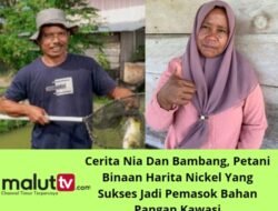 Nia Dan Bambang, Petani Binaan Harita Nickel Yang Sukses Jadi Pemasok Bahan Pangan