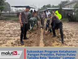 Sukseskan Program Ketahanan Pangan Presiden, Kapolres Pulau Taliabu Rela “Batobo” Lumpur.