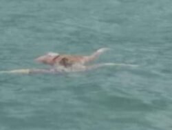 Pergi Melaut, Warga Desa Palo Ditemukan Tewas Setelah Dilaporkan Hilang Selama 24 Jam