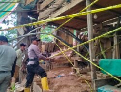 Tambang Emas Ilegal Kusubibi Kembali Memakan Korban Jiwa, Penutupan Lokasi Oleh Polisi Diduga Hanya Formalitas