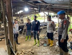 Kapolres Halsel Pimpin Langsung Tertibkan Tambang Emas Ilegal Di Kusubibi