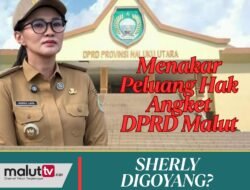 Membaca Peluang Pansus Hak Angket DPRD Terhadap Kepemimpinan Sherly Tjoanda.