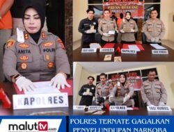 Polres Ternate Gagalkan Pengiriman Ganja Lewat Ekspedisi, Satu Pelaku Diamankan