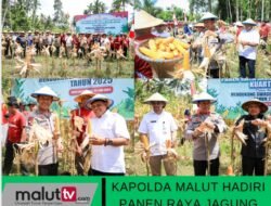 Kapolda Malut Hadiri Panen Raya Jagung Serentak Dan Ground Breaking Gudang Pangan