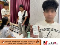 Satres Narkoba Polres Ternate Gagalkan Peredaran Ganja