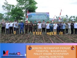 Dukung Ketahanan Pangan Nasional, Wakapolda Malut Hadiri Penanaman Jagung Serentak