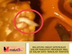 Belatung Hidup Ditemukan Dalam Makanan Program MBG Di MTsN 1 Ternate, Sekolah Hentikan Sementara Penerimaan Ompreng