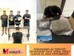 Jemput Paket Ganja Di Jasa Pengiriman, Seorang Mahasiswa Di Ternate Ditangkap Polisi