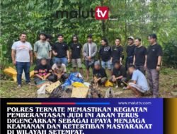 Polres Ternate Gerebek Judi Sabung Ayam di Jambula, 18 Pelaku dan Uang Puluhan Juta Diamankan