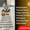 Selundupkan Puluhan Saset Ganja, Seorang Pemuda Di Halteng Ditangkap Ditresnarkoba Polda Malut