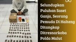 Selundupkan Puluhan Saset Ganja, Seorang Pemuda Di Halteng Ditangkap Ditresnarkoba Polda Malut