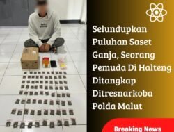 Selundupkan Puluhan Saset Ganja, Seorang Pemuda Di Halteng Ditangkap Ditresnarkoba Polda Malut