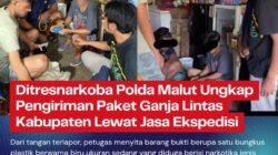 Ditresnarkoba Polda Malut Ungkap Pengiriman Paket Ganja Lintas Kabupaten Lewat Jasa Ekspedisi