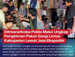 Ditresnarkoba Polda Malut Ungkap Pengiriman Paket Ganja Lintas Kabupaten Lewat Jasa Ekspedisi