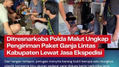Ditresnarkoba Polda Malut Ungkap Pengiriman Paket Ganja Lintas Kabupaten Lewat Jasa Ekspedisi