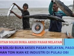 SUTAN Soligi Buka Akses Pasar Nelayan, Pasok Puluhan Ton Ikan ke Industri di Pulau Obi