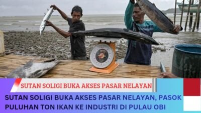 SUTAN Soligi Buka Akses Pasar Nelayan, Pasok Puluhan Ton Ikan ke Industri di Pulau Obi