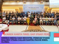 Sinergi Media dan Industri, Perkuat Posisi Maluku Utara dalam Rantai Pasok Nikel Global