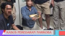 Ditresnarkoba Polda Malut Gagalkan Peredaran Ganja 545 Gram di Halteng