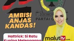Aroma Aklamasi Mengerucut: Ambisi Anjas Kandas, Alien Mus Si Ratu Kuning Melenggang Bebas di Puncak Beringin Malut.