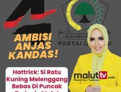 Aroma Aklamasi Mengerucut: Ambisi Anjas Kandas, Alien Mus Si Ratu Kuning Melenggang Bebas di Puncak Beringin Malut.