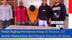 Polisi Ungkap Peredaran Ganja di Ternate, 217 Sachet Diamankan dari Tangan Pemuda 18 Tahun