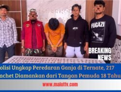 Polisi Ungkap Peredaran Ganja di Ternate, 217 Sachet Diamankan dari Tangan Pemuda 18 Tahun