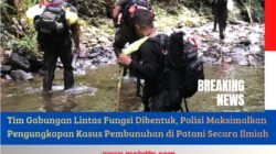 Tim Gabungan Lintas Fungsi Dibentuk, Polisi Maksimalkan Pengungkapan Kasus Pembunuhan di Patani Secara Ilmiah