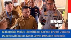 Wakapolda Malut: Identifikasi Korban Erupsi Gunung Dukono Dilakukan Ketat Lewat DNA dan Forensik