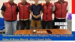 Ditresnarkoba Polda Malut Ringkus Terduga Pengedar Sabu di Kayu Merah, Sita 5 Saset Sabu