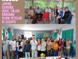 Jaring Asmara, Ketua DPRD Malut Iqbal Ruray Tinjau Kandang Ayam Petelur di Susupu.