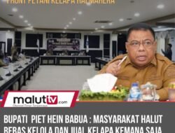 Bupati Piet Hein Babua: Petani Kelapa Halut Bebas Kelola dan Jual Kopra Kemana Saja.