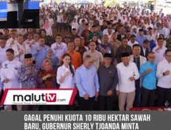 Gagal Penuhi Kuota 10 Ribu Hektar Sawah Baru, Gubernur Sherly Tjoanda Minta Bupati Validasi Kembali Data Lahan.