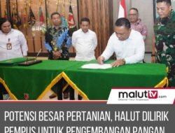 Potensi Besar Pertanian, Halut Bakal Menjadi Wilayah Pengembangan Pangan Pemerintah Pusat.