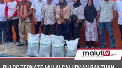 Kurangi Beban Warga, Bulog Gelontorkan Bantuan Beras untuk Ratusan Ribu KPM di Maluku Utara.