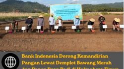 Bank Indonesia Dorong Kemandirian Pangan Lewat Demplot Bawang Merah dan Panen Raya Padi di Haltim