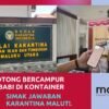 Benarkah Ayam Potong Bercampur Daging Babi di Kontainer Pelabuhan Ahmad Yani? Simak Jawaban Balai Karantina Malut!