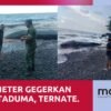 Gegerkan Warga, Paus 6 Meter Ditemukan Terdampar di Pantai Afe Taduma Ternate