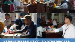 Karantina Maluku Utara Gelar Pemeriksaan Kesehatan Gratis dan Donor Darah Jelang HUT ke-149