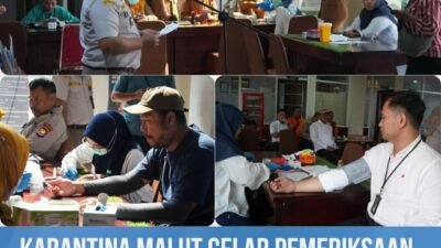 Karantina Maluku Utara Gelar Pemeriksaan Kesehatan Gratis dan Donor Darah Jelang HUT ke-149