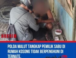 Polda Malut Tangkap Pria Pemilik Sabu di Rumah Kosong Tak Berpenghuni di Ternate.
